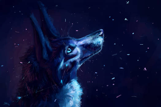 Blue wolf and snow