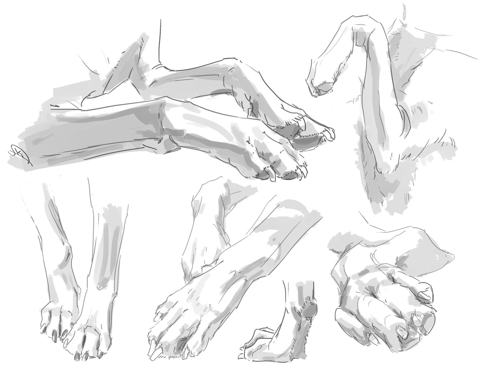 Vector Illustration Sketch Of A Dog Paw Print