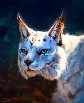 White lynx