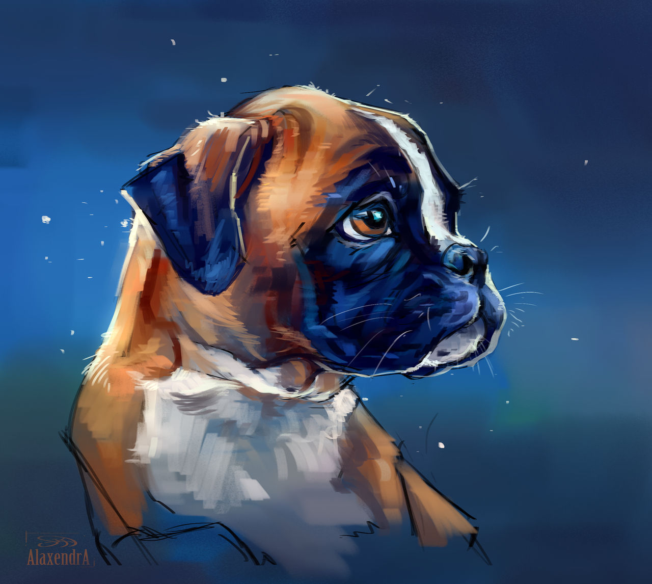 Deviantart Boxer Dog Boxer's puppy by AlaxendrA on DeviantArt