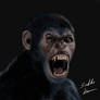 Angry ape