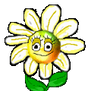 Daisy-Blinking