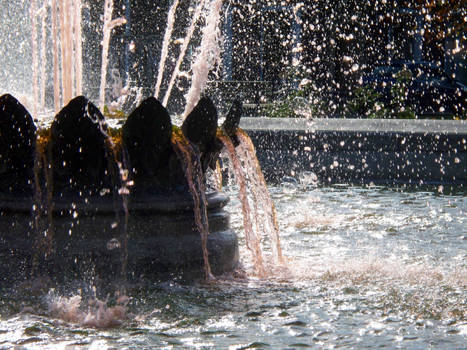 Tickled Pink Fountain