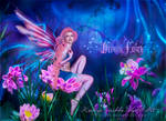 Dream Fairy