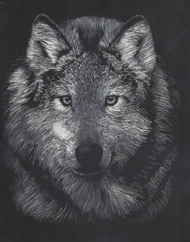 Silver Wolf