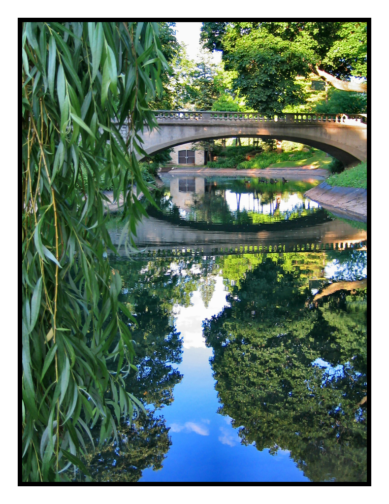 reflection bridge