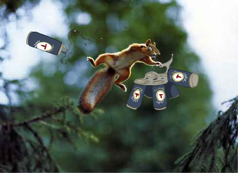 Super tennents squirrel