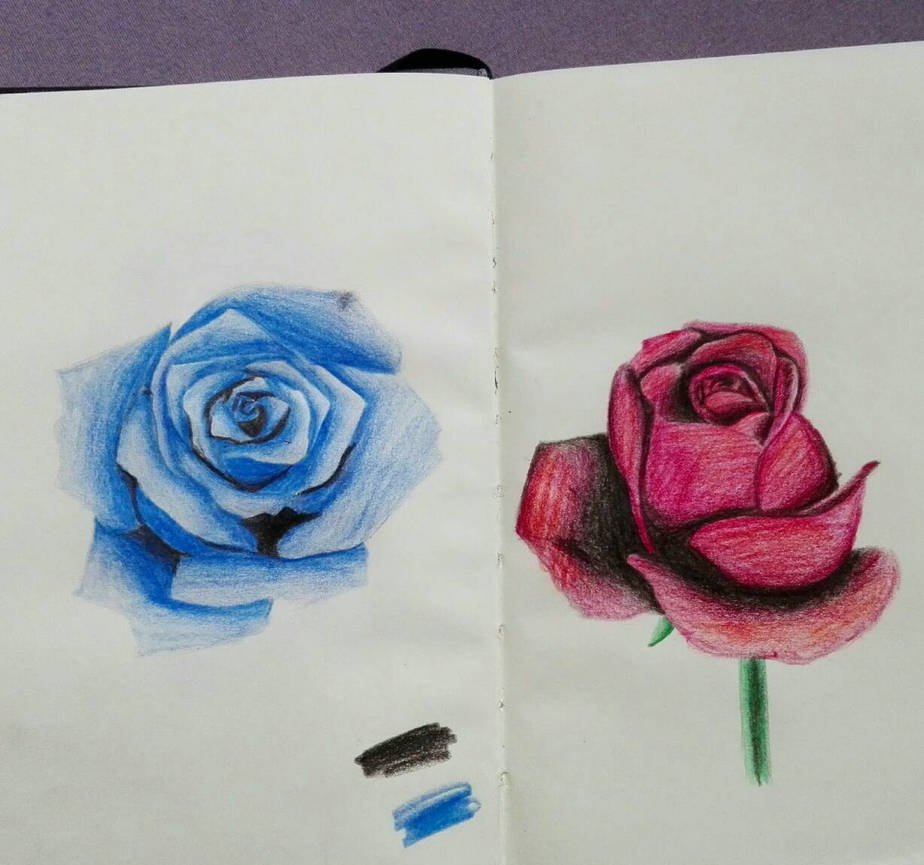People Drawing Roses drawing roses by art-by-ina on DeviantArt