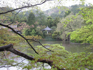 The Hidden Teahouse