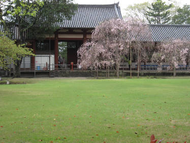 Todaiji Temple