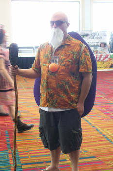 Master Roshi CC 09