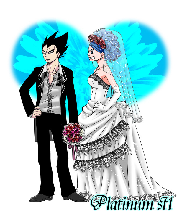 Vegeta And Bulma 9