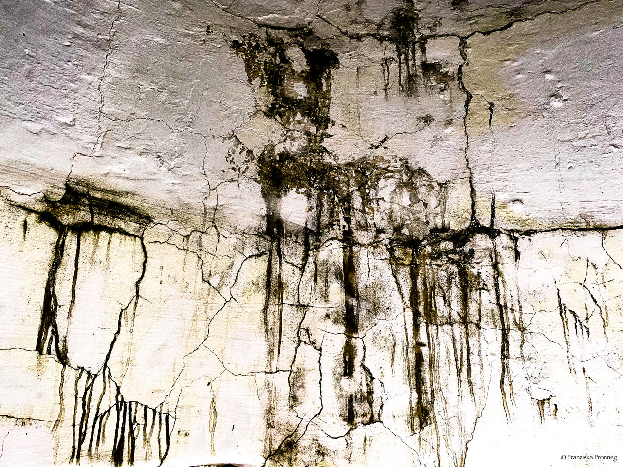 Decay by megadoodleturtle on DeviantArt