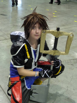 Sora the Keyblade bearer