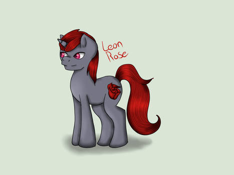 Request Pony 2-Leon Rose-