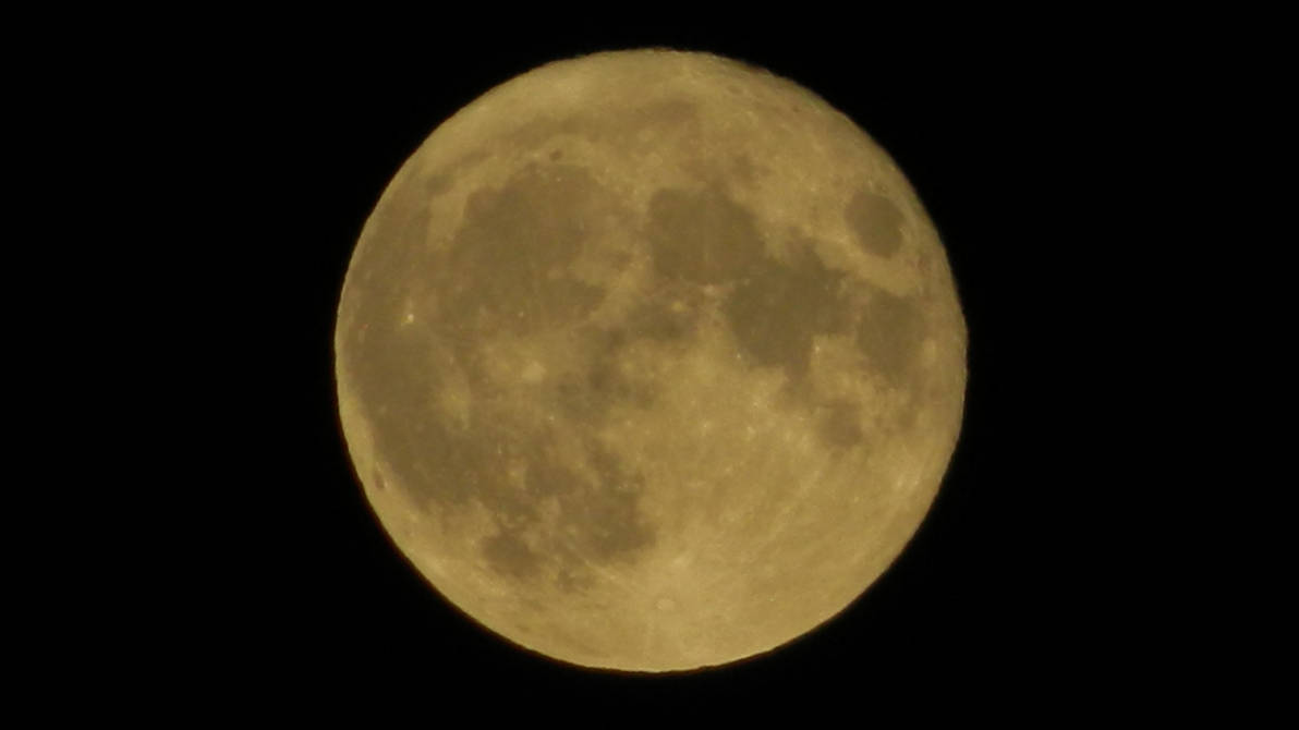 В погоне за луной 2024. Фото Луны. Большая Луна. Луна суперлуние. Гигантская Луна.