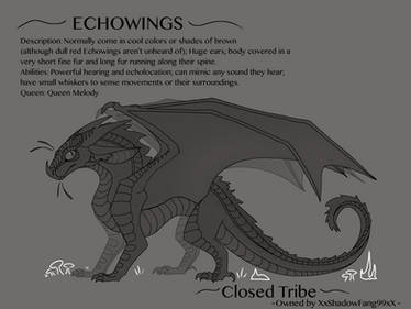 Echowings 2.0 (2019)