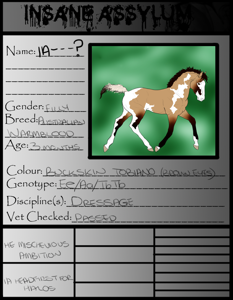 IA Foal Papers-Headfirst For Halos X Mischevious A