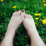 Bare Feet in the Spring