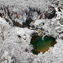 Heart of Nature