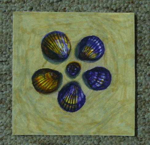 fan shells by juliablue on DeviantArt