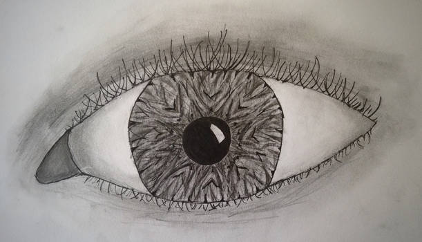 Eye