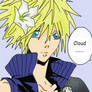 Cloud Strife: Flower boy