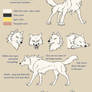 Alphawolf Kiba model sheet