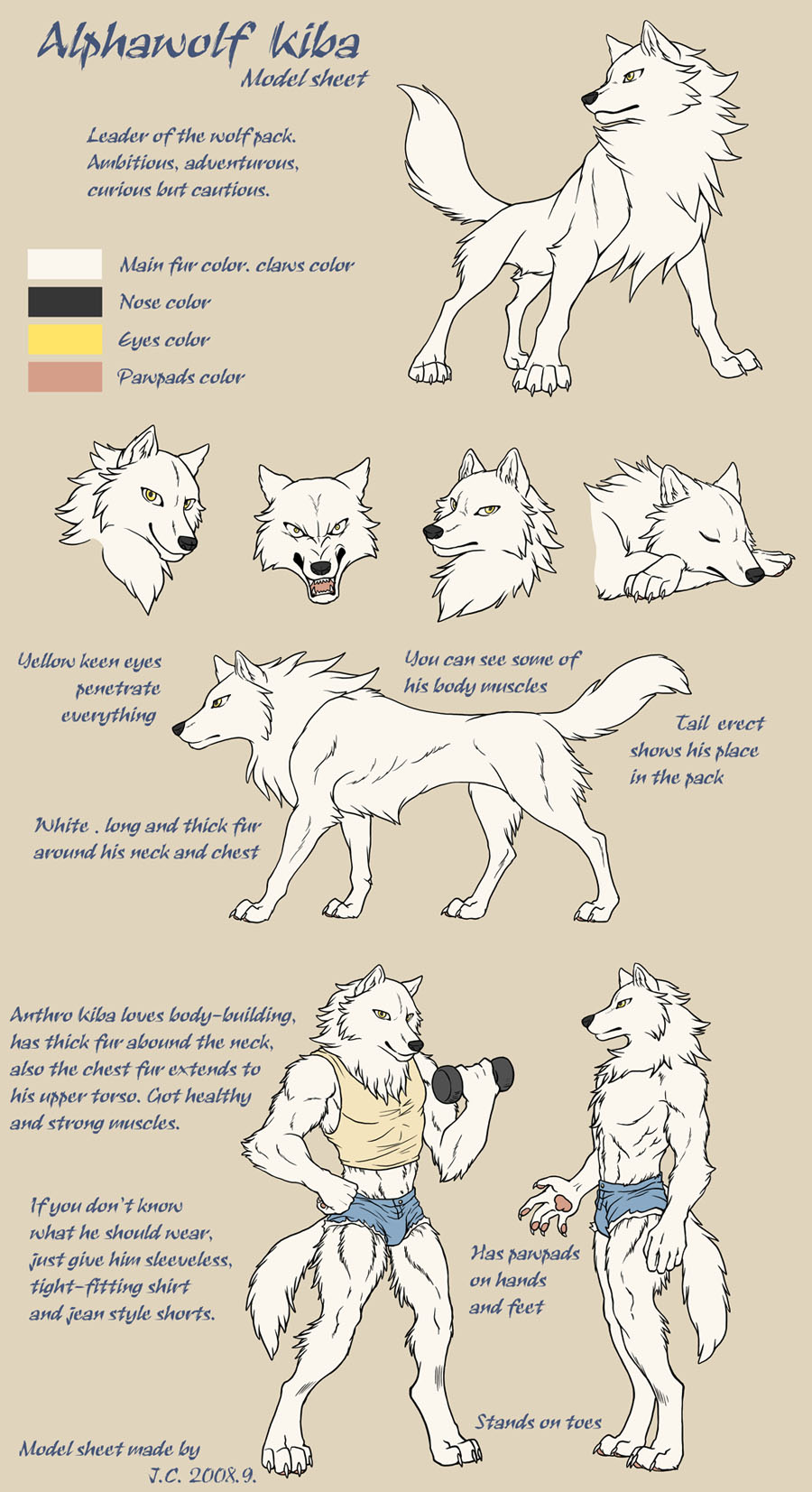 Alphawolf Kiba model sheet