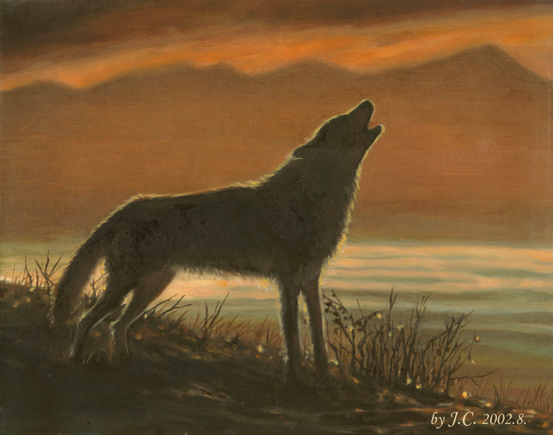 Танцующий волк песня. Земной волк. Волчья земля. Животные земли волк. Танец волка.