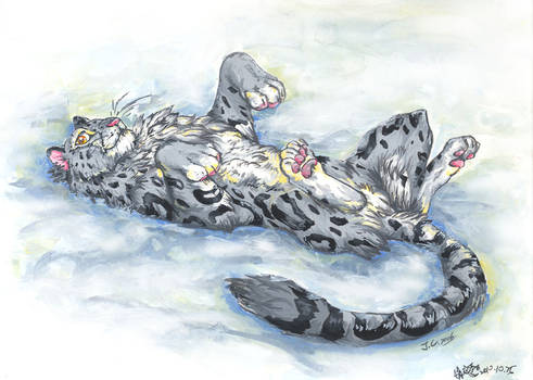 Snow leopard on the snow