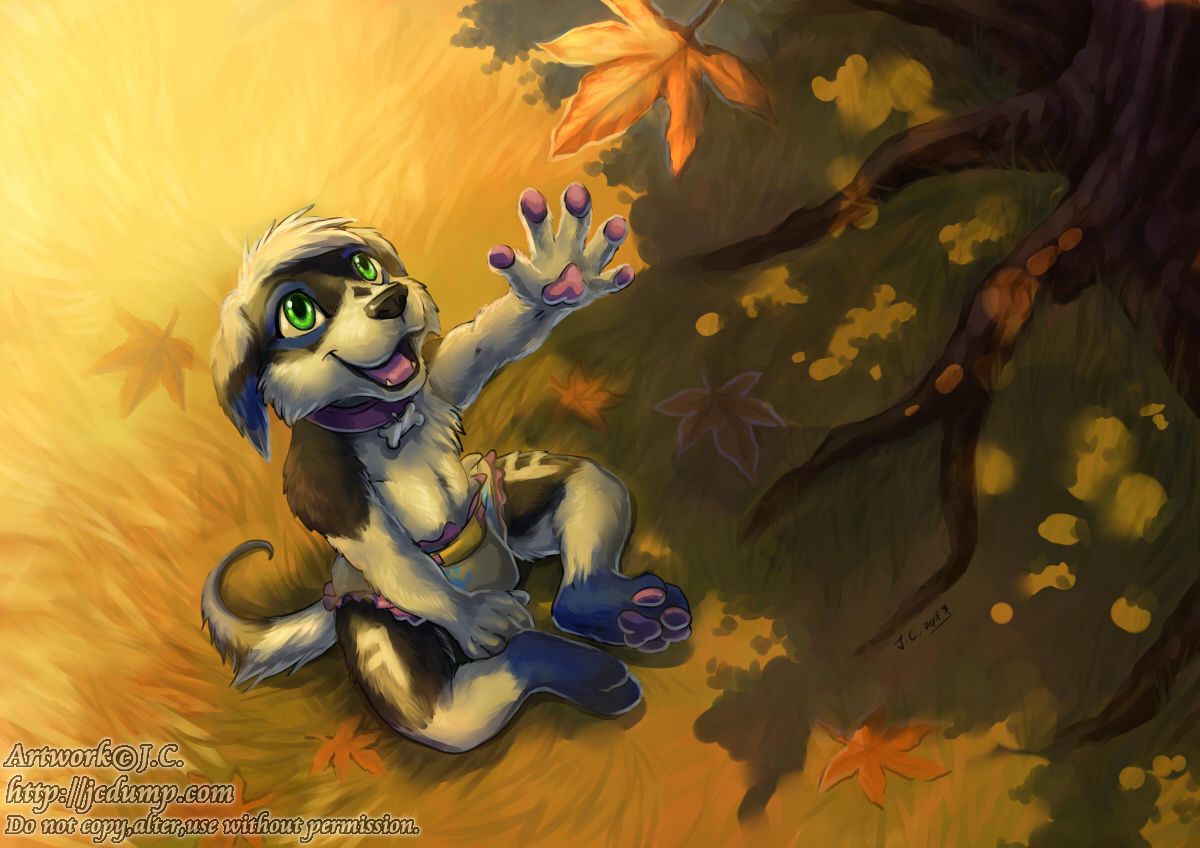 Curious puppy