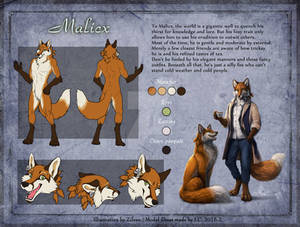 Malicx model sheet