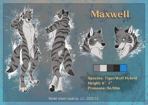 Maxwell Model Sheet