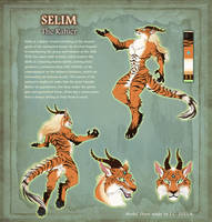 Selim model sheet