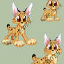 Big paw lynx pet