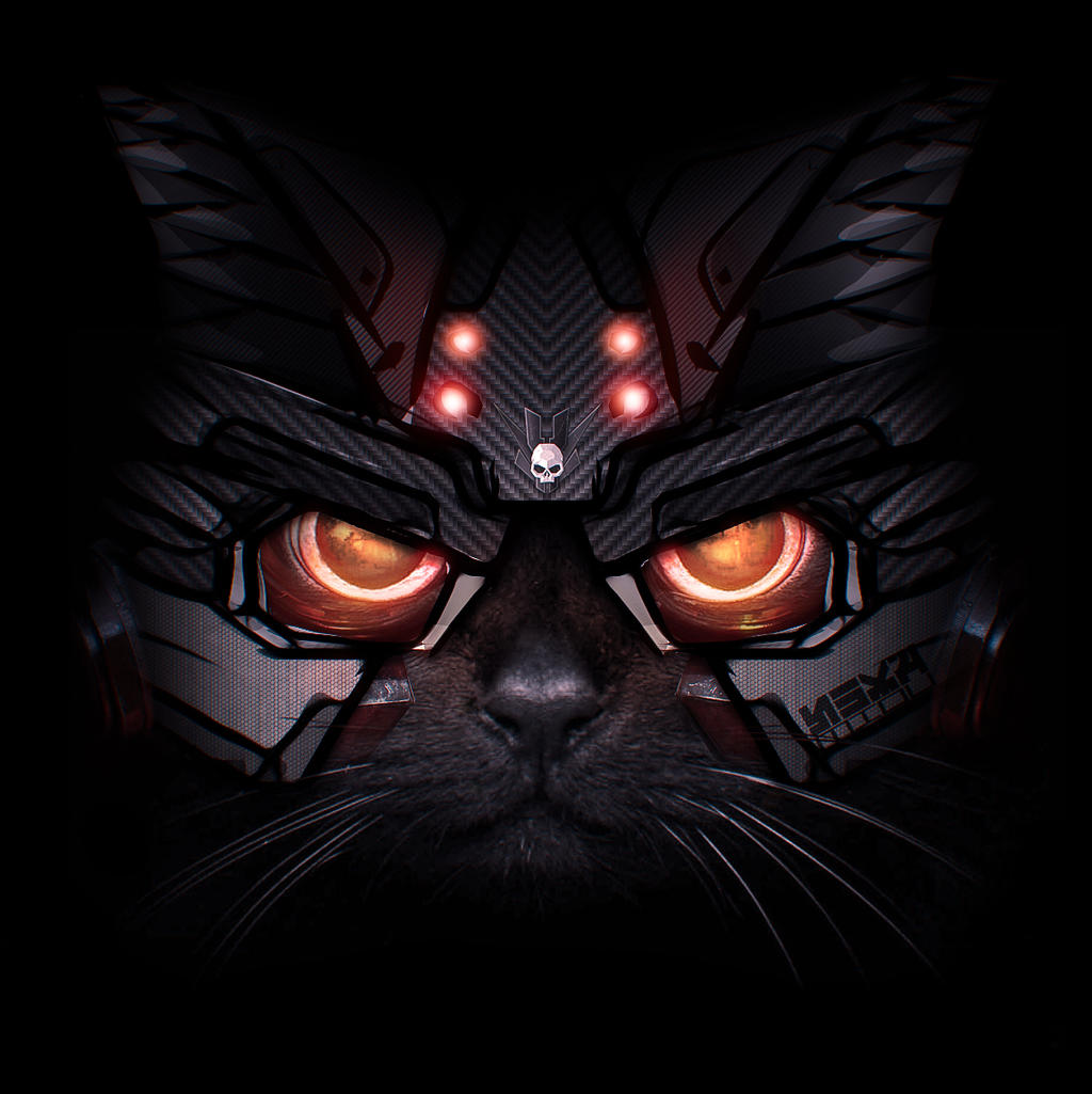 Helghast cat 2