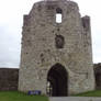 Trim Castle Gate