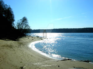 Silent Sands