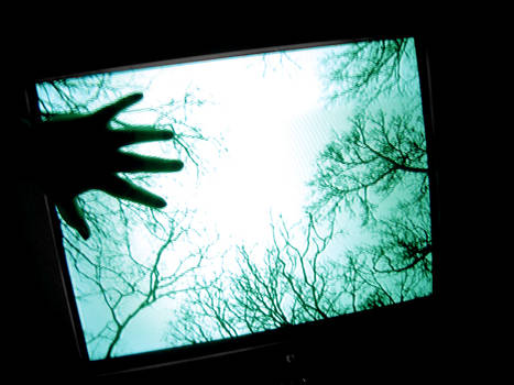 Nature on TV