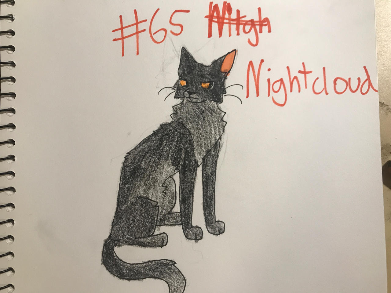 #65 Nightcloud by Forestleaf5 on DeviantArt