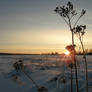 another winter sunrise