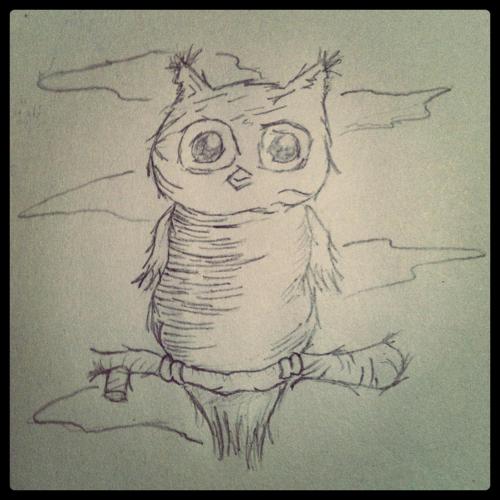 Cute Owl Sketch