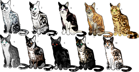 FREE Feline Adoptables