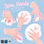 Hand Stamps for Artists (Procreate, Photos