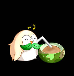 Rowlet's Berry Juice 