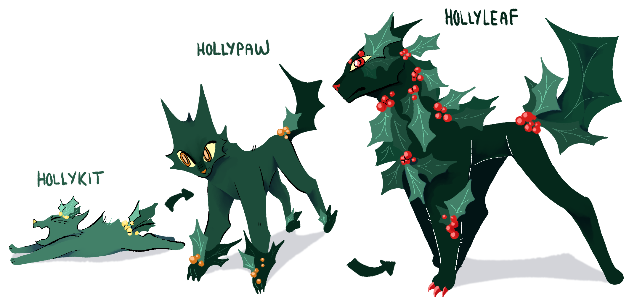 hollyleaf evolution line