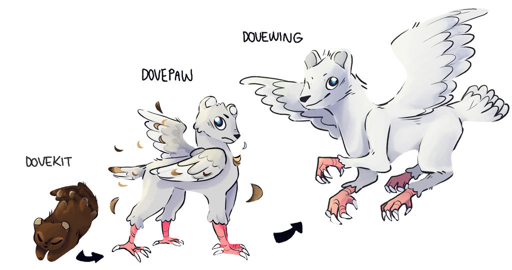 dovewing evolution line