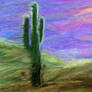 Cactus with the Sun