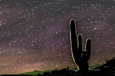 Cactus on the Night